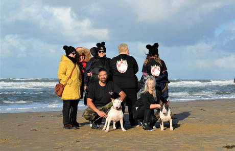 Bull-Terrier-bulterijer-Hepsterix-International-Weekend-Country-Competition-3