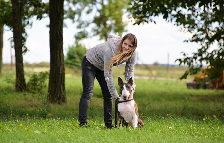 X.-Central-European-Bull-Terrier-Club-&-Trophy-Show,-Tata,-Hungary–13