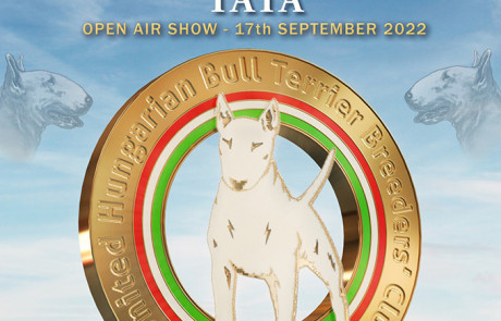 X.-Central-European-Bull-Terrier-Club-&-Trophy-Show,-Tata,-Hungary–4