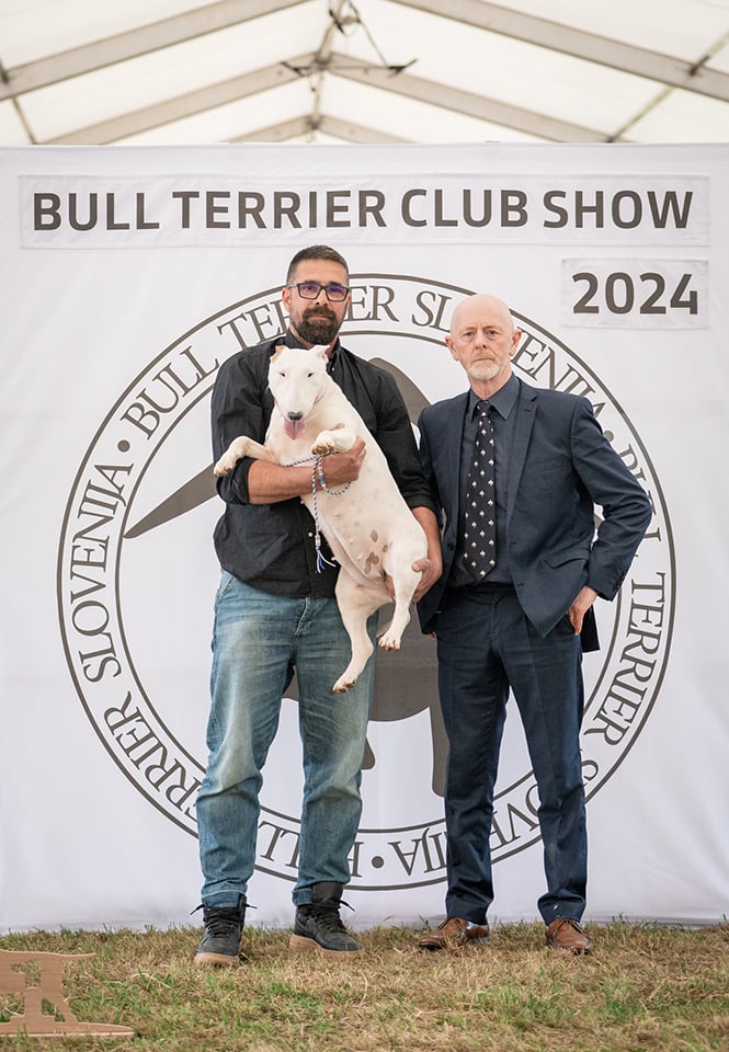 Electric Bulls Gangsta Gigi