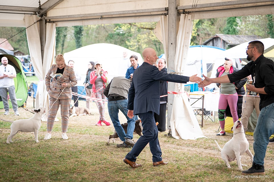 Sudac Steve Walker UK (Astasia).