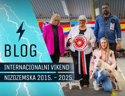 Internacionalni Vikend u Nizozemskoj