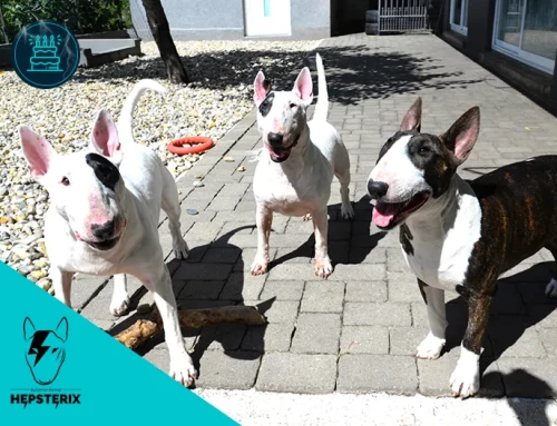 Magic je proslavila 8. rođendan!