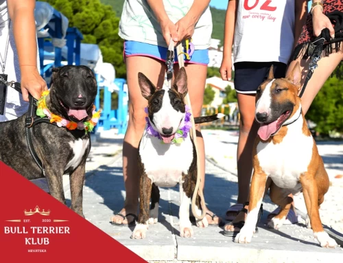 Meet the Breed @ Monty’s Dog Beach & Bar Crikvenica