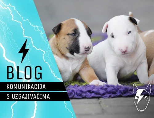 Komunikacija s uzgajivačima