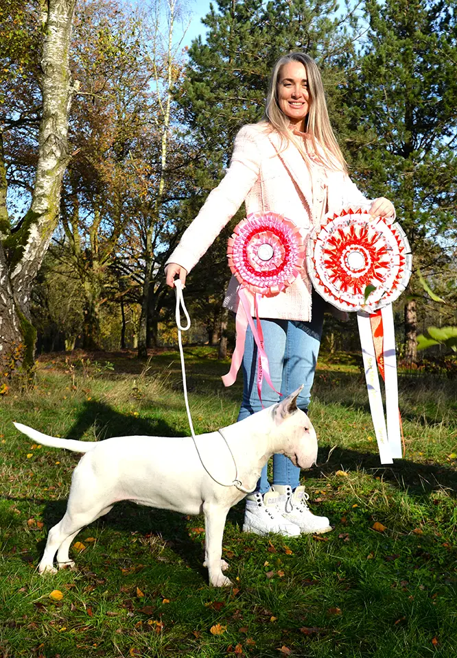 Internacionalni vikend Nizozemska Bullterrier Hepsterix 2025 2